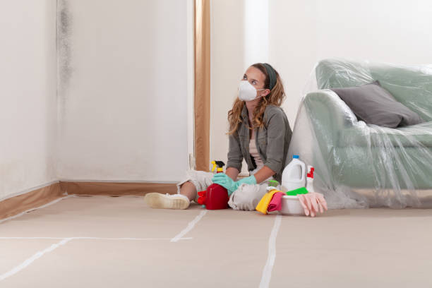 Reliable Mold Cleanup contractor in Williamsburg, PA by Cheap Mold Removal